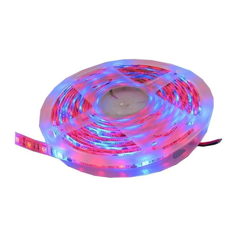 autolamp20260630162642467508