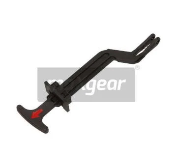 elancar-120260701014451665457