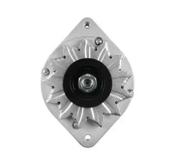 elancar-120260701053851755557