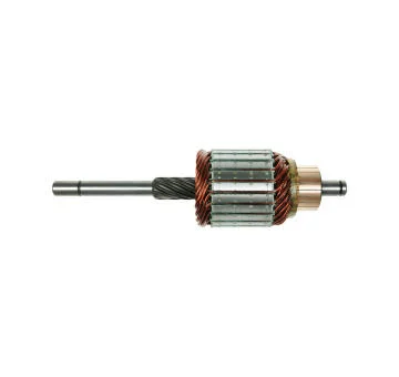 elancar-120260701082526815841