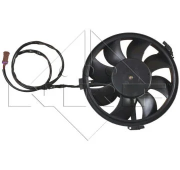 elancar-420260630213631573058