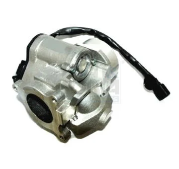 elancar-420260701120401873482