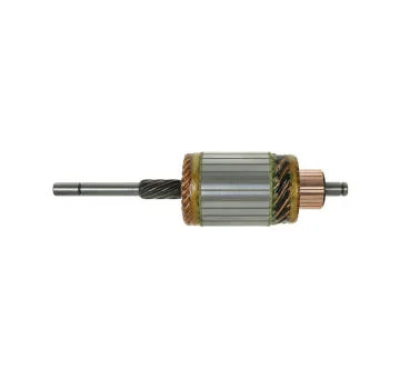 elancar-620260701044424733054