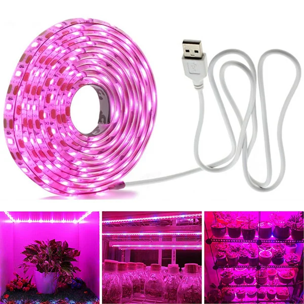 led-expert20260630143253440010