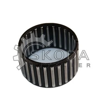 motora-120260630141730437568