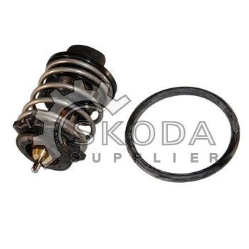 motora-120260630200943542991