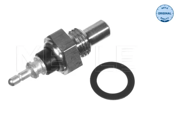 motora-620260630170413474280