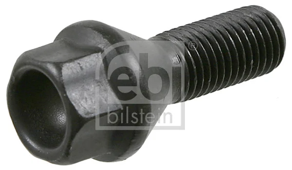 motora-620260630211832566535