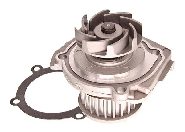motora-620260701000620631341