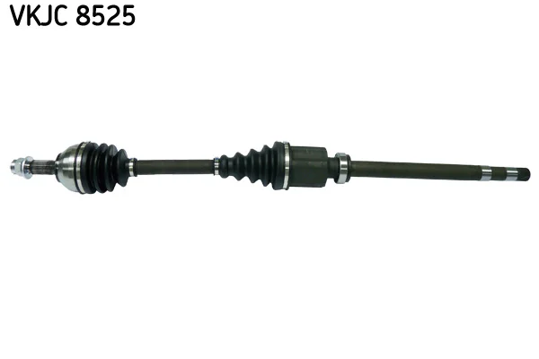 motora-620260701004428644025
