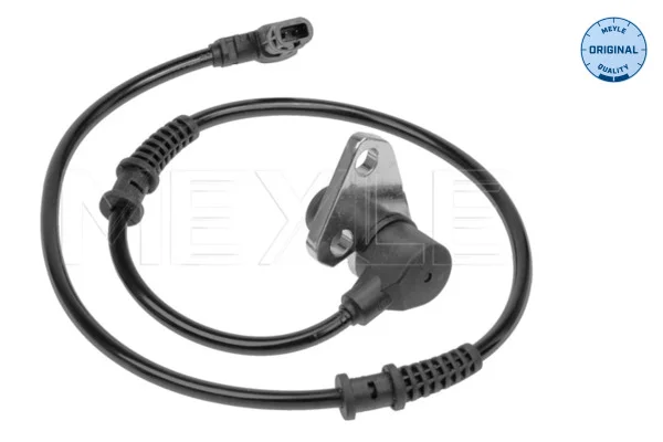 motora-620260701005428647734