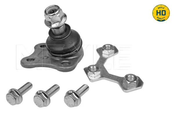 motora-620260701012006657070