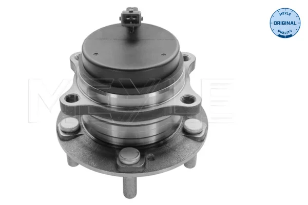 motora-620260701015237668053