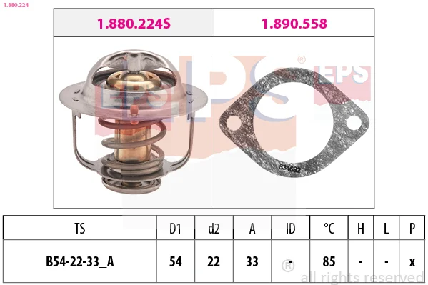motora-620260701025955691436