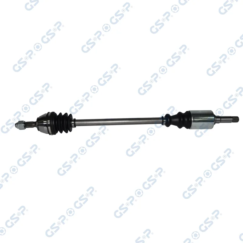 motora-620260701041246721189