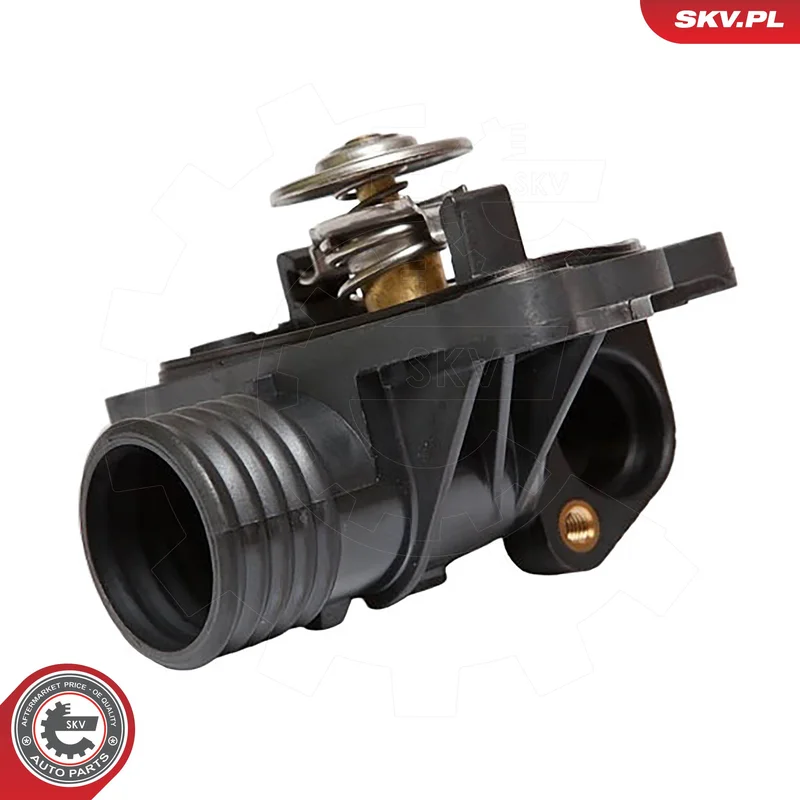 motora-620260701042039724624