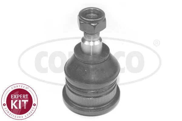motora-620260701053328753506