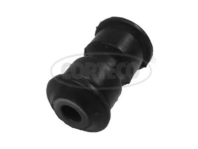 motora-620260701055346761036