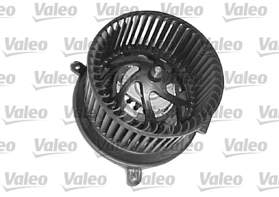 motora-620260701061447767520